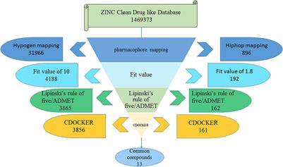The Discovery of Novel BCR-ABL Tyrosine Kinase Inhibitors Using a <mark class="highlighted">Pharmacophore Modeling</mark> and Virtual Screening Approach